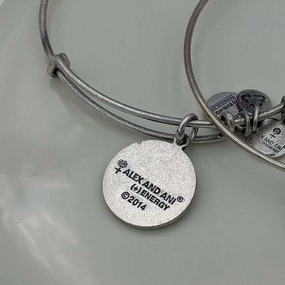 Alex and Ani Rafaleian Silver Dog Int. E Bracelets - Picture 5 of 8